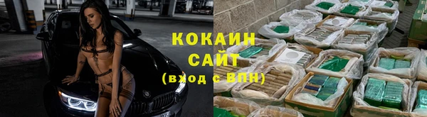 ГАЛЛЮЦИНОГЕННЫЕ ГРИБЫ Братск