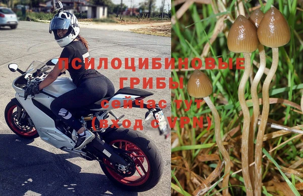 apvp Великий Новгород