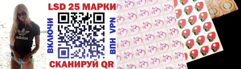 Марки N-bome 1,8мг  маркетплейс состав  Вышний Волочёк  даркнет сайт 