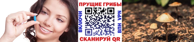 Галлюциногенные грибы Cubensis  Вышний Волочёк 