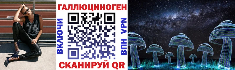 Псилоцибиновые грибы Psilocybine cubensis Вышний Волочёк